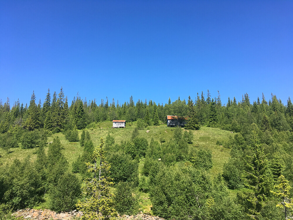 Svetrøseter.