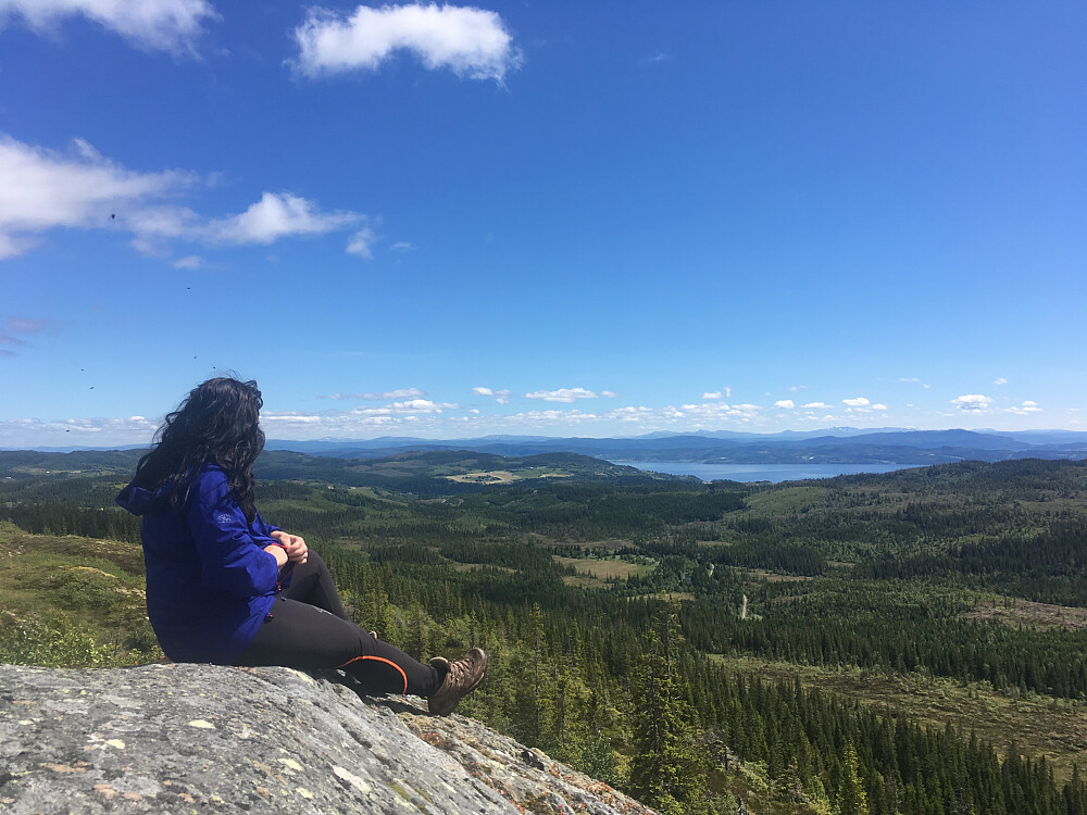 Ser mot Trondheimsfjorden og Frosta.