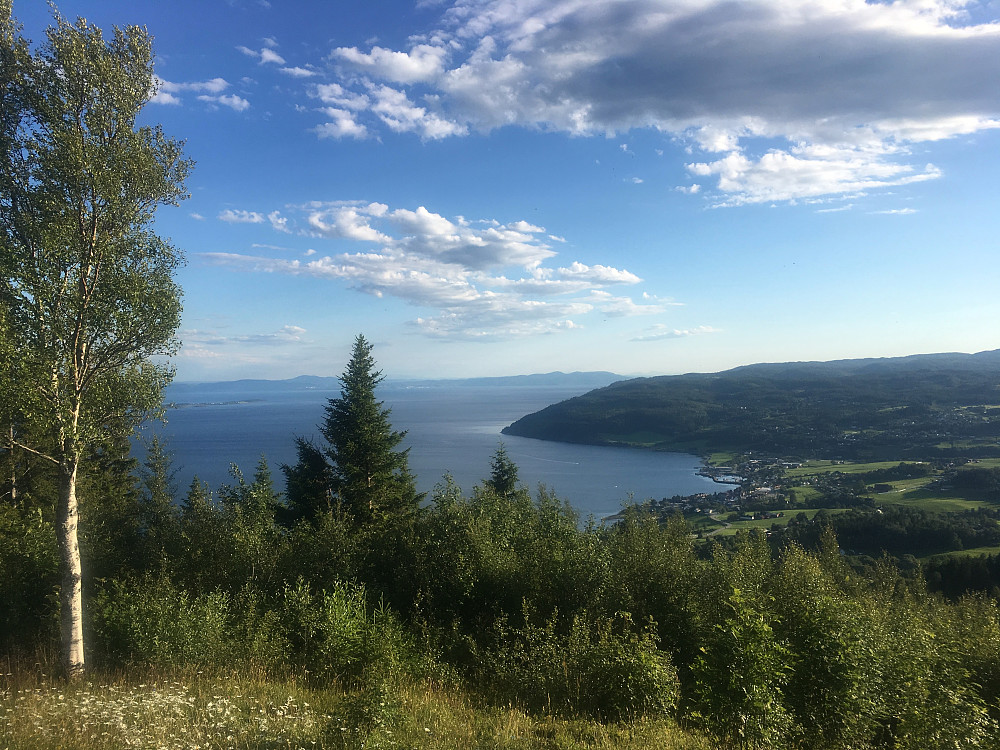 Utsikt mot sør-Trondheim.