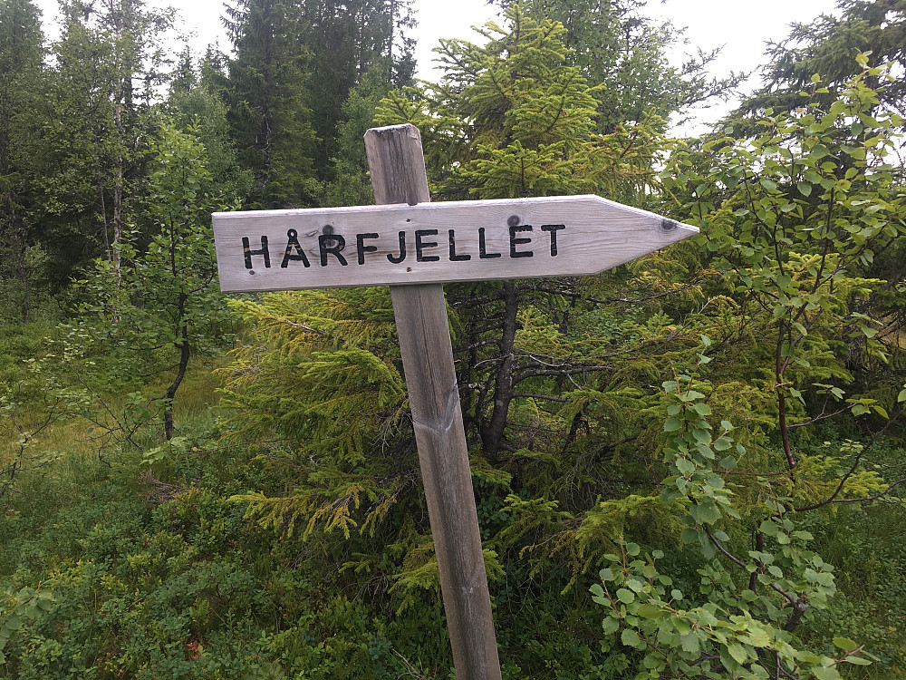 På rett vei.God merking.