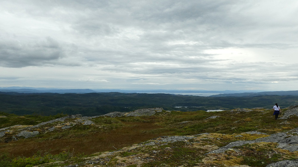 På vei mot sydlig varde. Trondheimsfjorden i det fjerne.