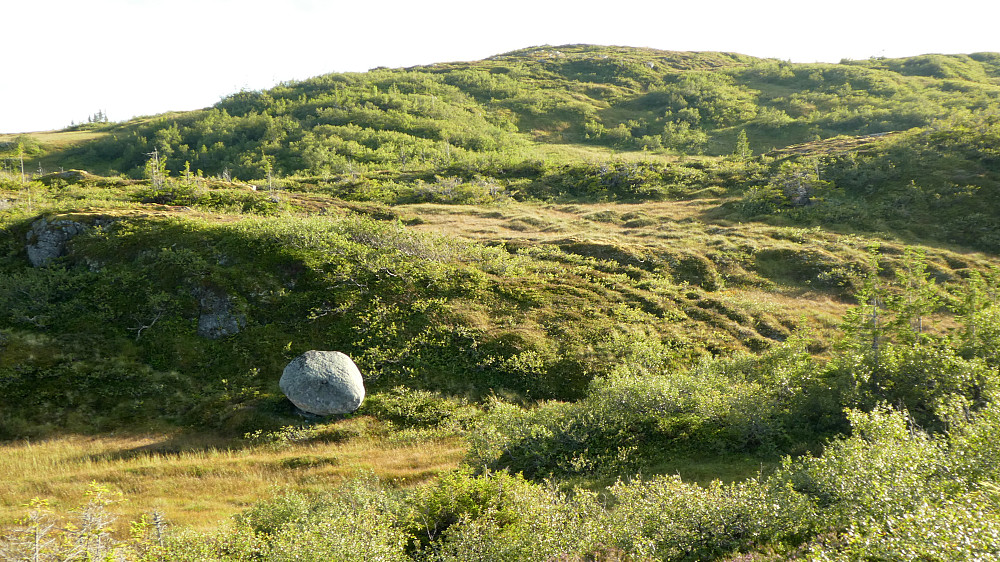 Noen som har glemt igjen en stor stein her.