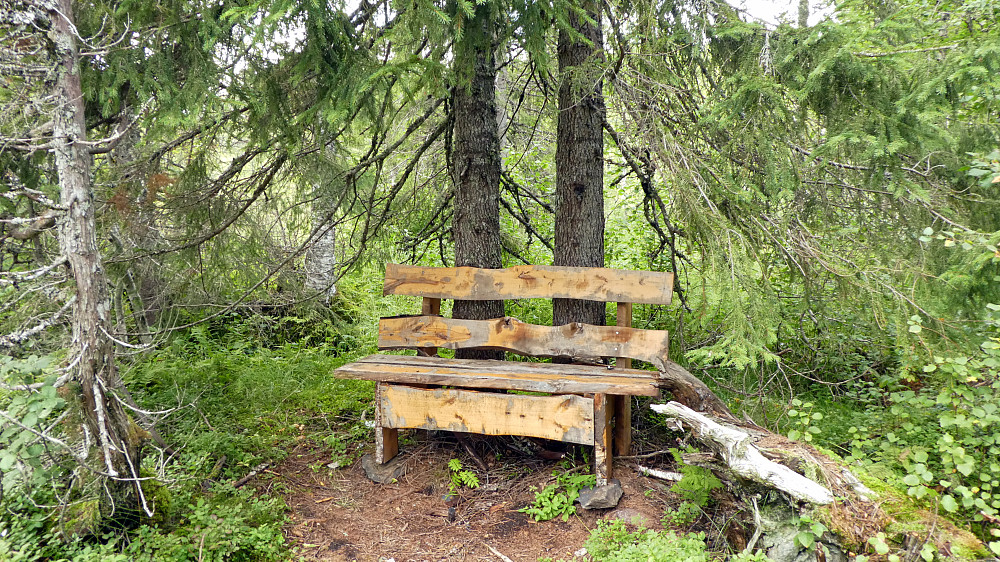 Benk er satt opp på tur opp til Gapahuken hvis noen skulle trenge en pause.