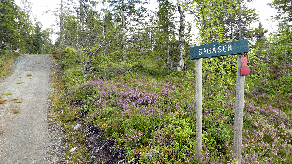 Siste bakken opp.