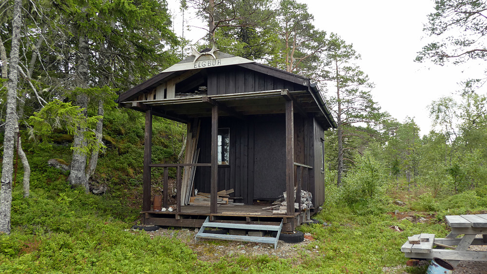 Passerer Elgbua på vei opp.