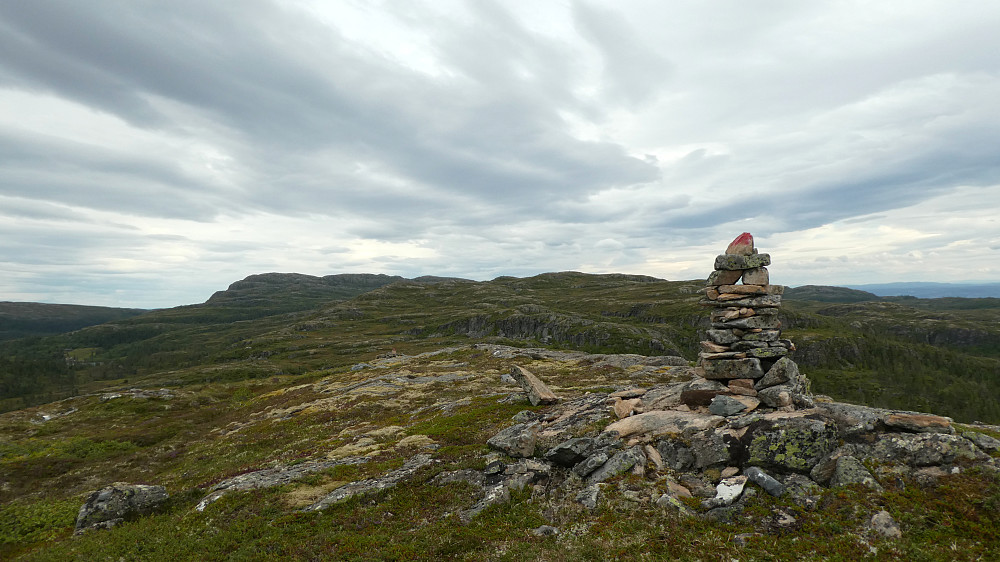 Ser mot toppen av Magnhildheia fra Seterliheia(indre varde)