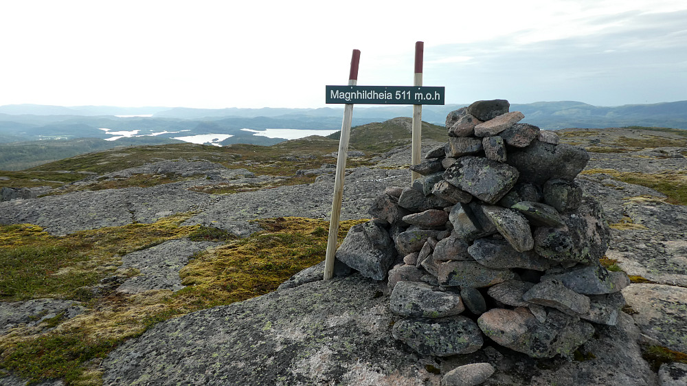 Toppvarden.