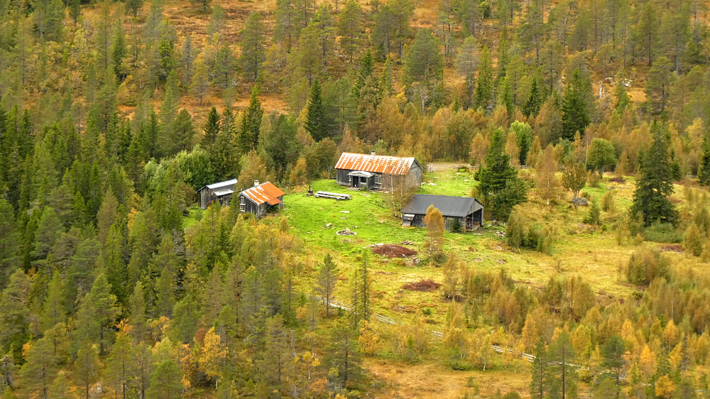 Hindrumsetran.