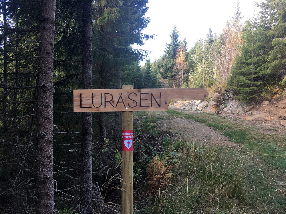 Fin skogsvei et stykke oppover lia.