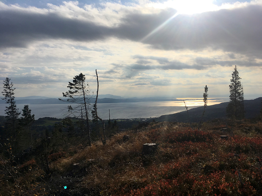 Utsikt mot Trondheimsfjorden.