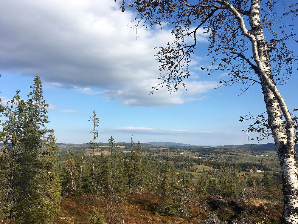Mot nord og Hårfjellet 551 moh.