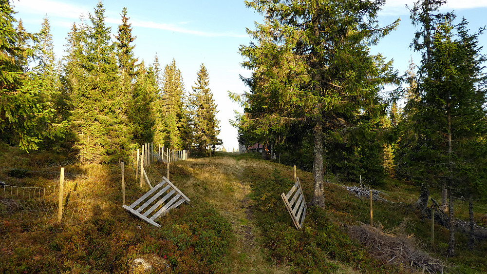 Ved Stubbsveet.