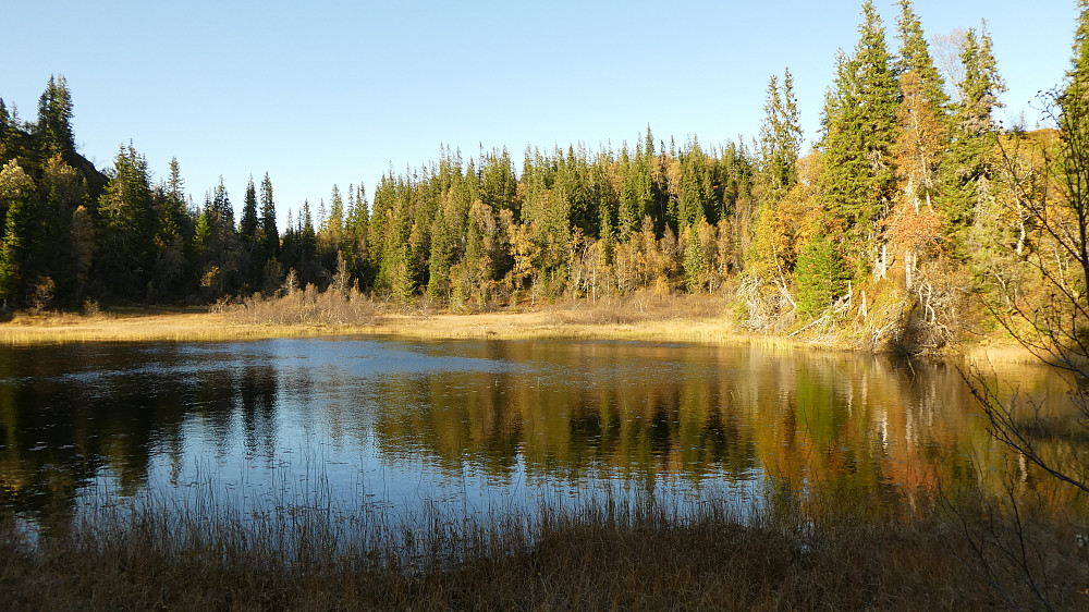 Mikkelkjeta.