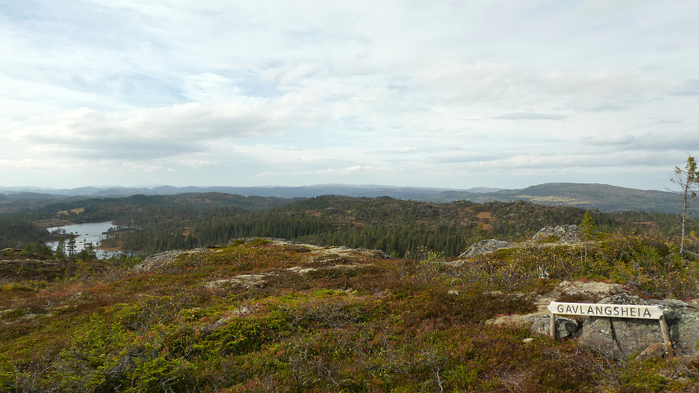 Mot Rotheia.