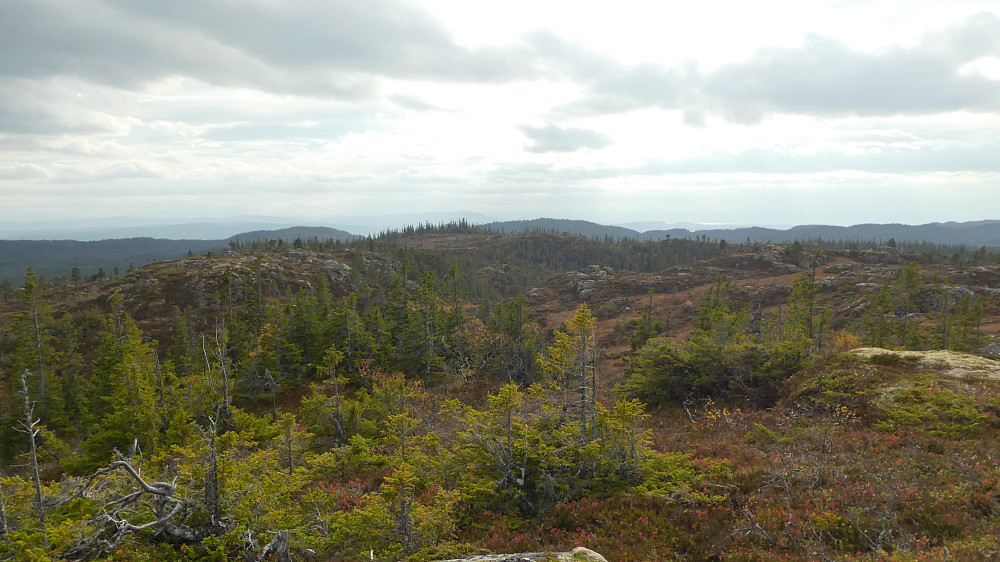 Røyskattheia.