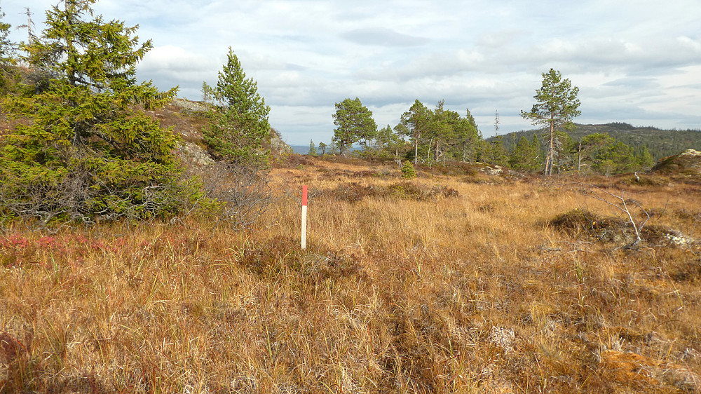 Parti på nedturen.