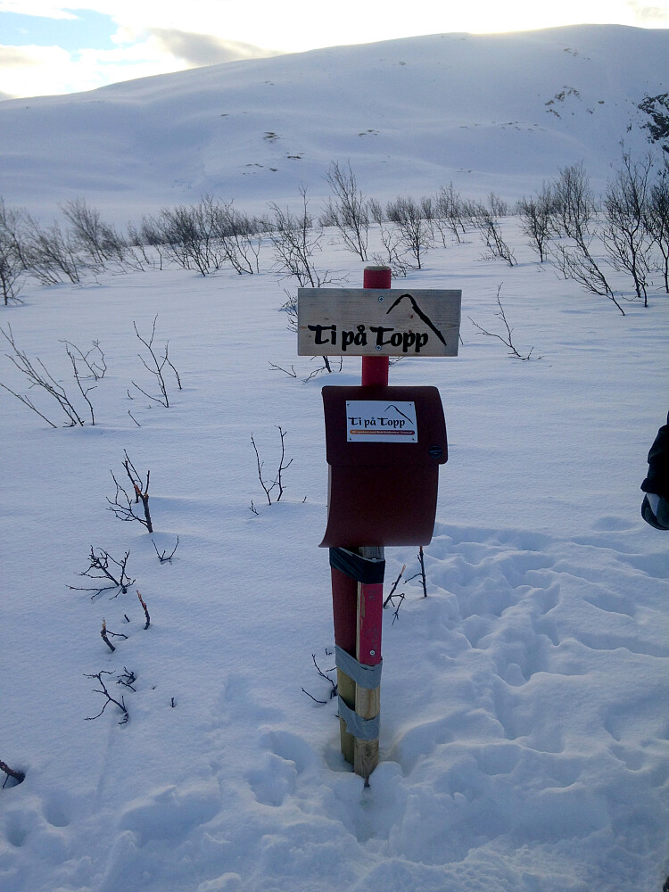 Slaktarhaugen 223 moh.