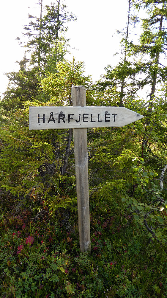 Det første veiskille.