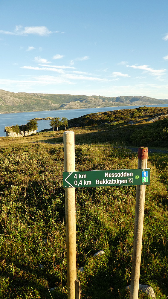 Bukkatalgen er første stopp.