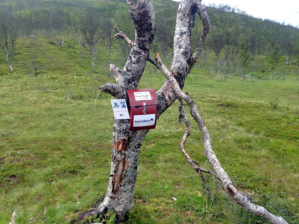 Ti på Topp 2016.(blir vel bare med det)