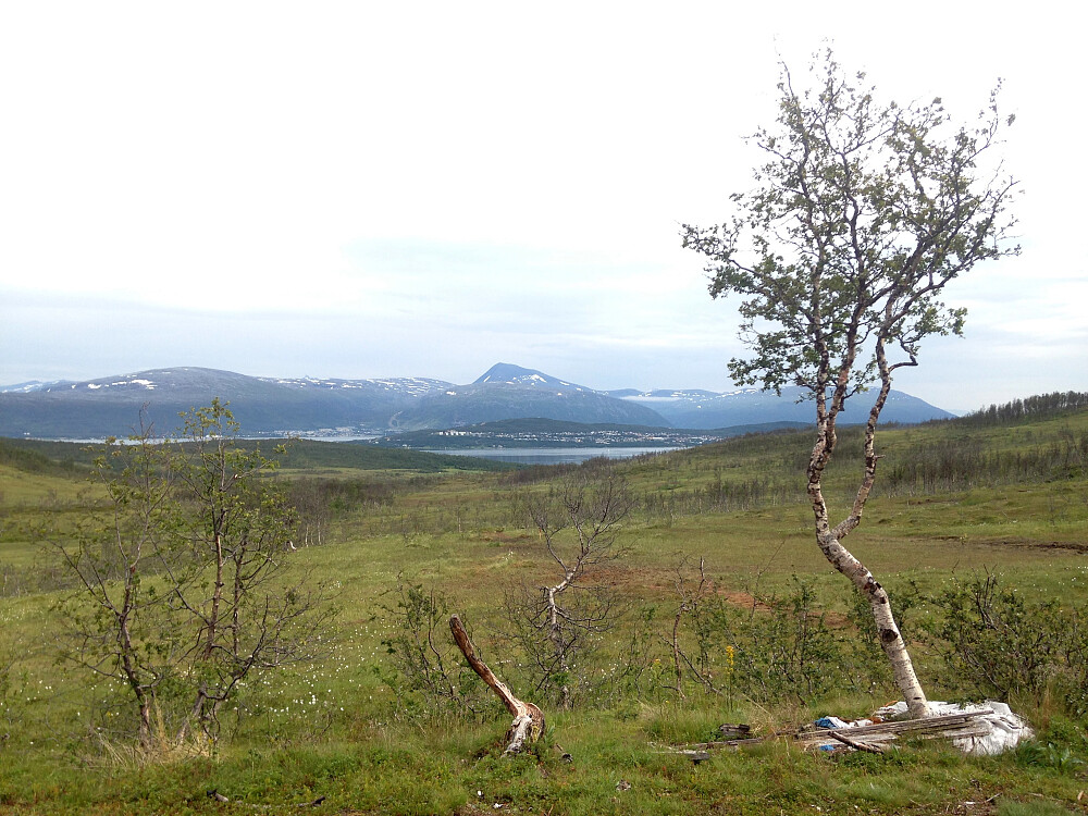 Utsikt mot Tromsøya og Tromsdalstinden.