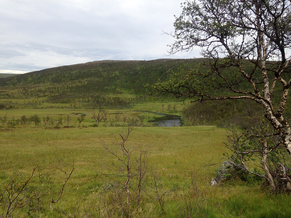 Mellaskarfjellet 307 moh.