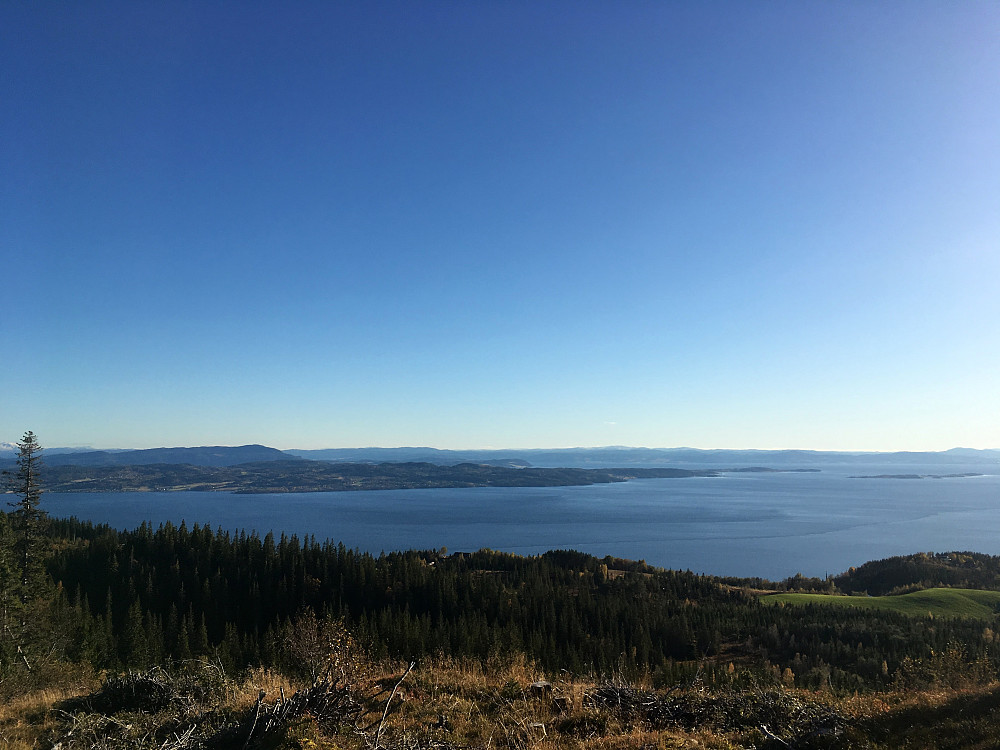 Utsikt fra hogstfeltet på Vålåsen.Ser over fjorden mot Frosta.