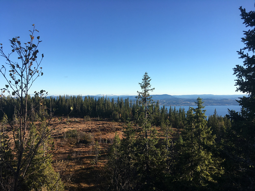 Utsikt fra Budeipynten mot fjorden.