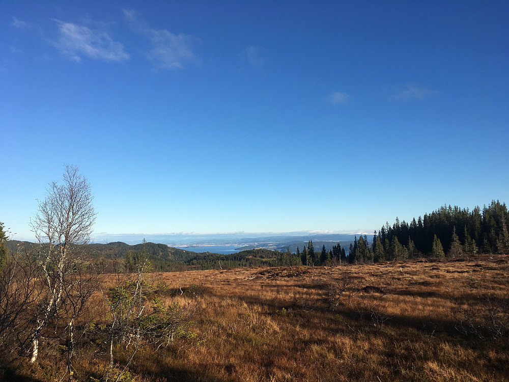 Denne myra må vi over for å komme til Sørtoppen.Skogn i det fjerne på andre side av fjorden.