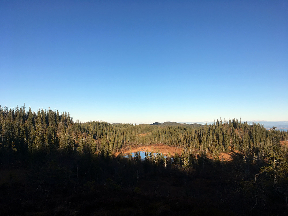 Passerer Hustjønna på tur tilbake.