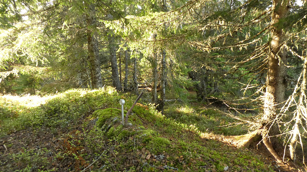 Toppunktet har en grensepåle.
