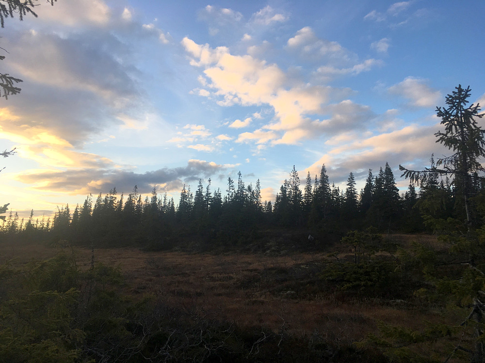 På tur opp mot heia.