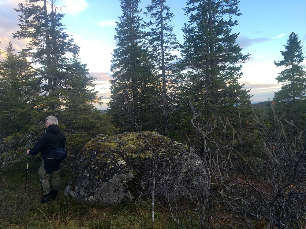 Litt størrelse på denne ja.