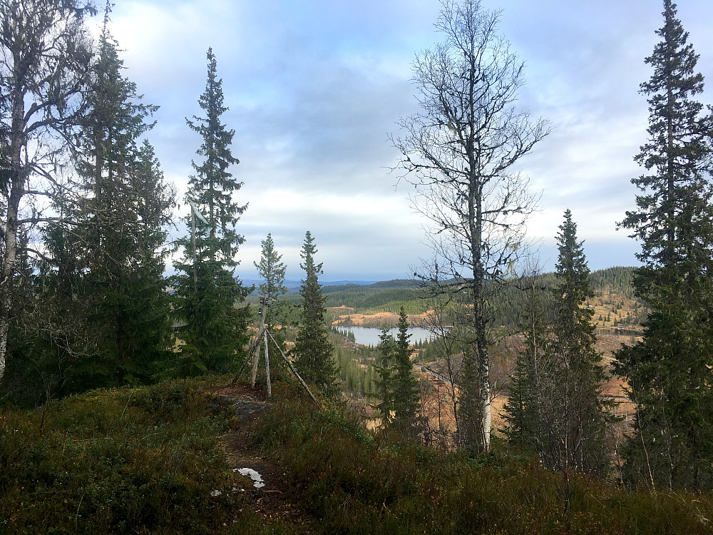 Bukkhåmmårn-Utsikt mot nord.