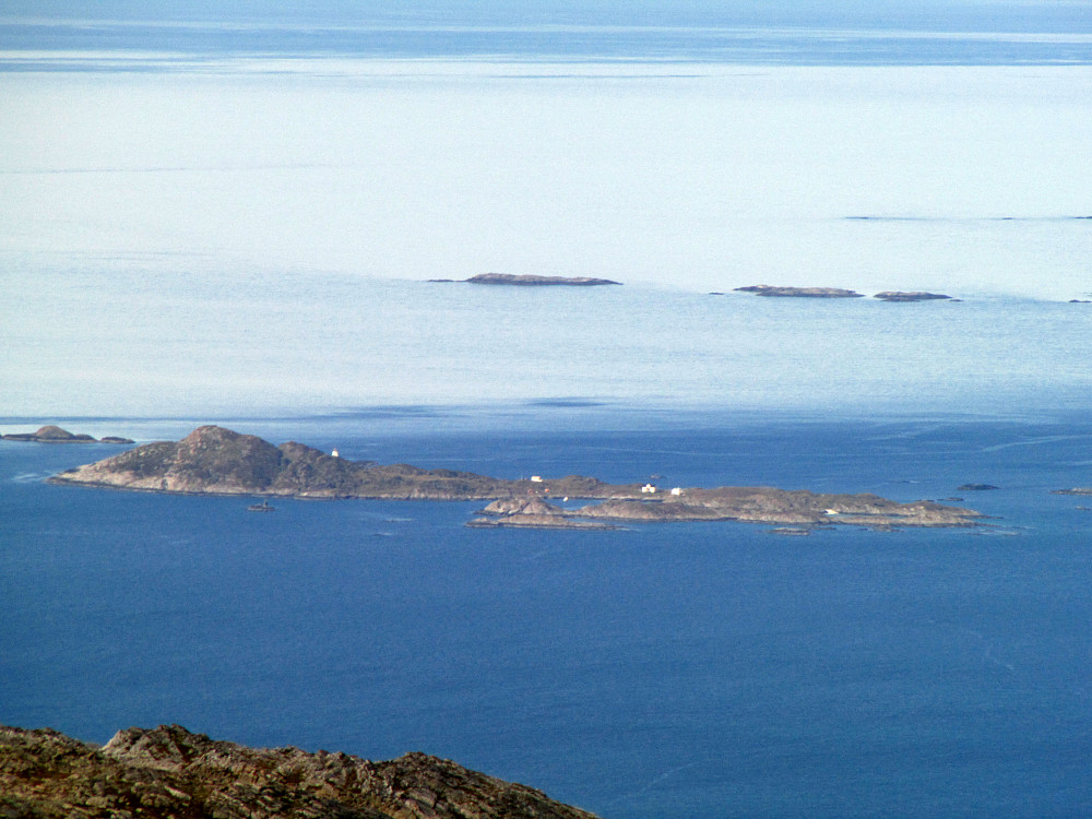 Musvær.