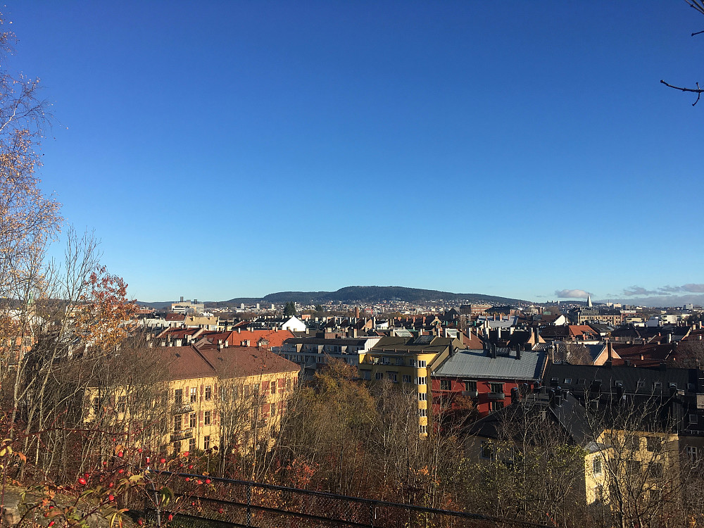 Utsikt fra Blåsen mot Grefsenkollen.