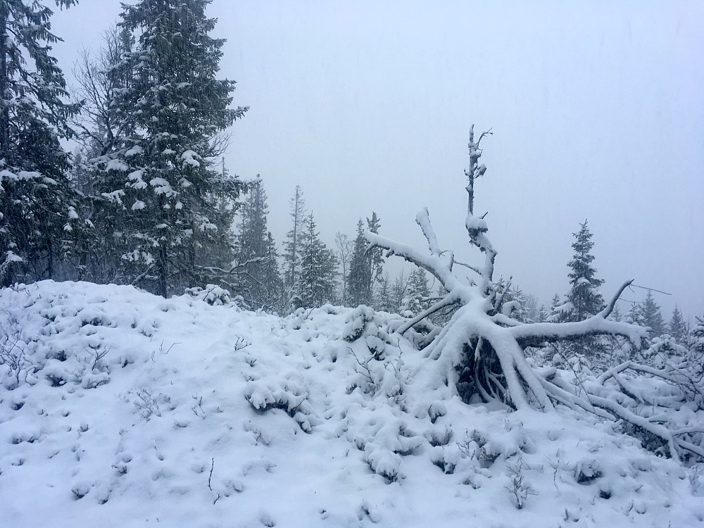 Snøkaos opp Ratåsen.