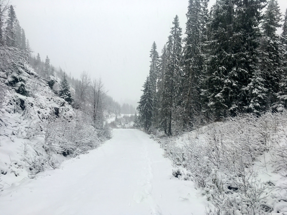 Tømmerdalsveien har fått skiføre på turen.
