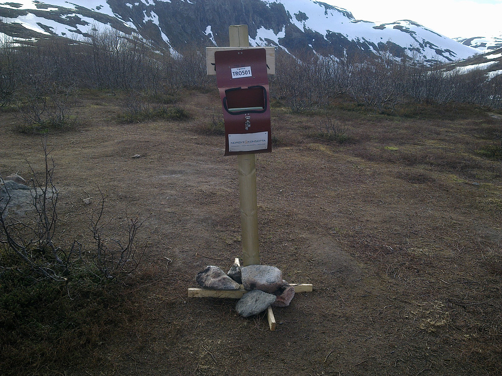 Sommeren er på vei til Slaktarhaugen.