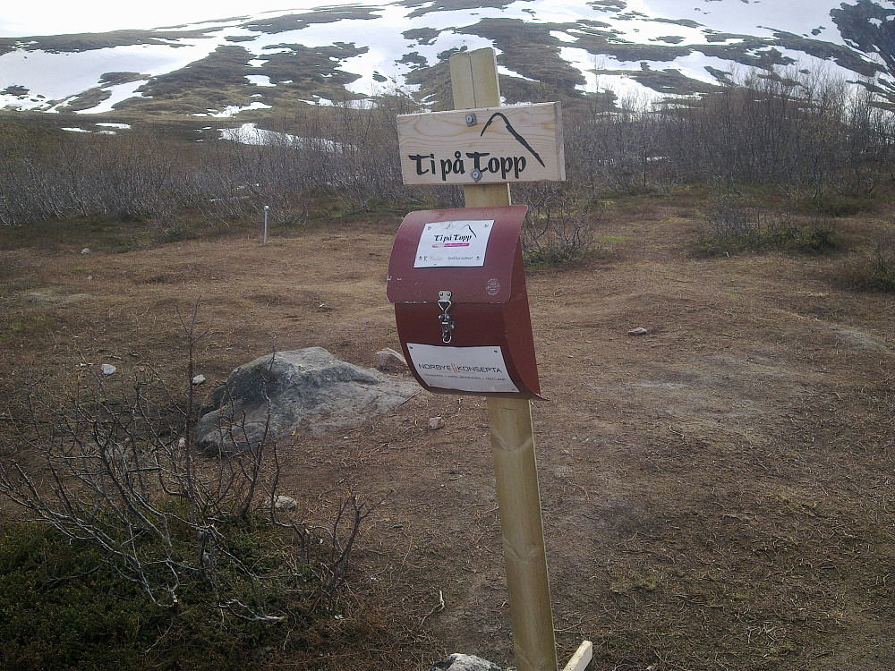 Ti på Topp i år også.
