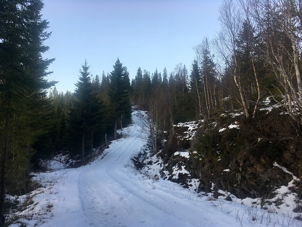 Traktorvei et stykke oppover er greit.