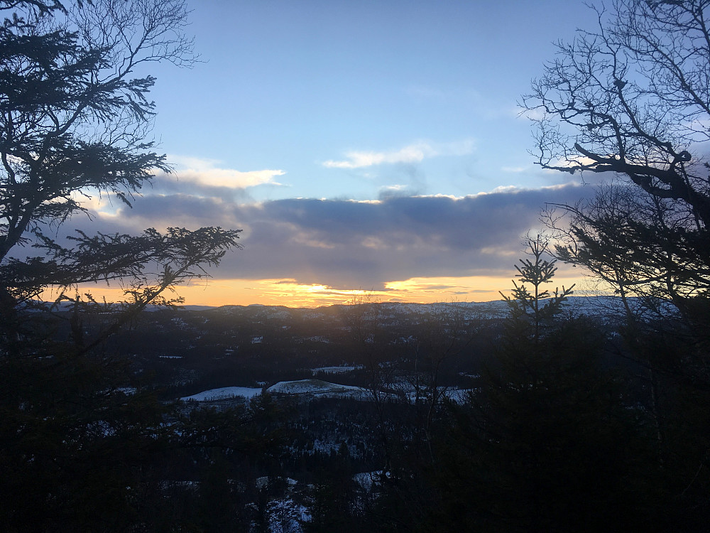 Utsikt fra Bjørnahaugen mot sør.