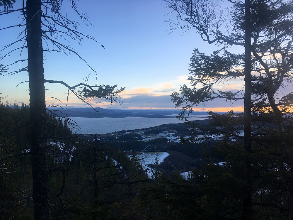 Fra Bjørnahaugen mot Trondheimsfjorden og Leksvik.