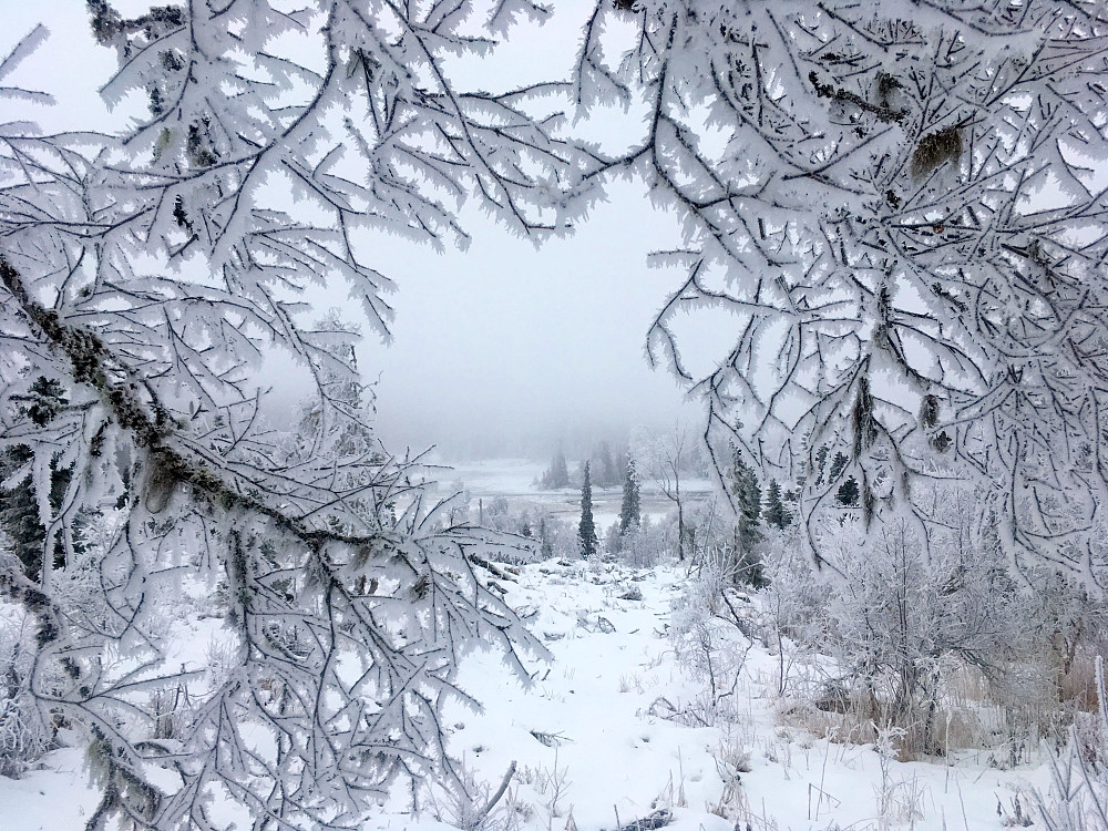 Julestemning i november.