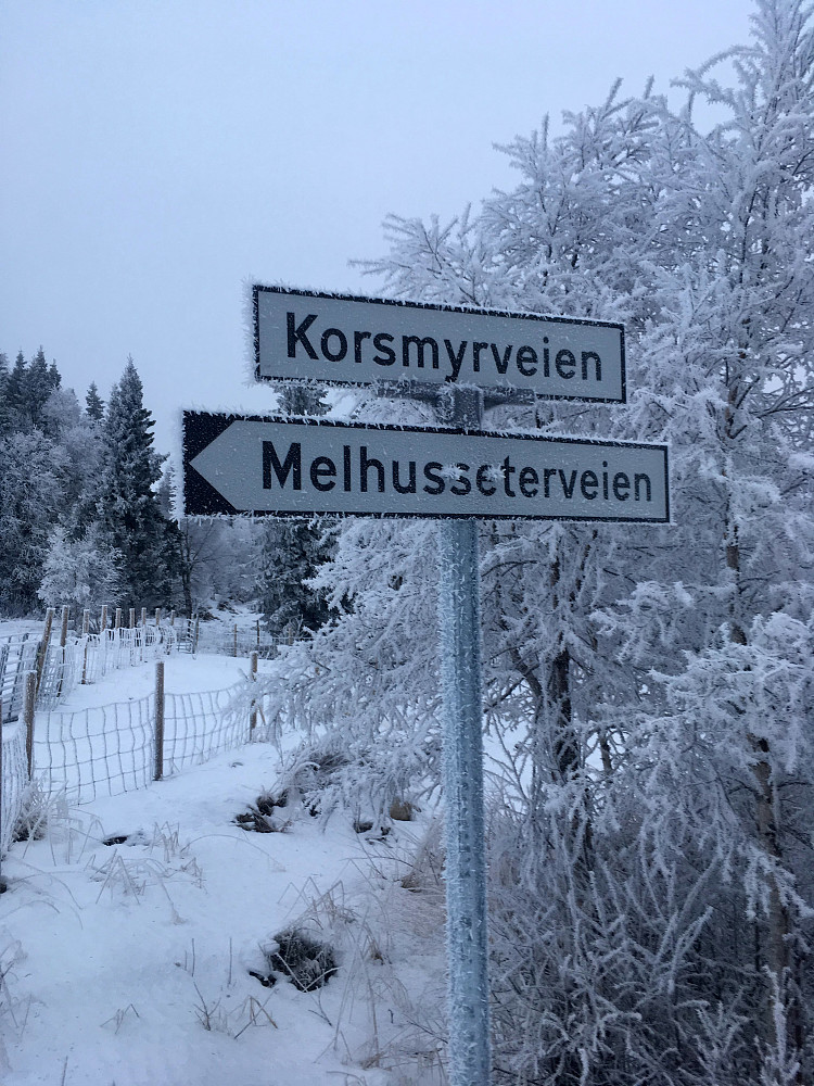 Skogsveien har fått navn.