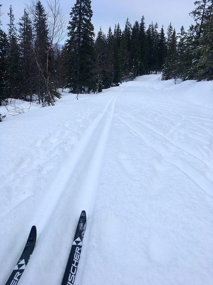 Fine løyper!