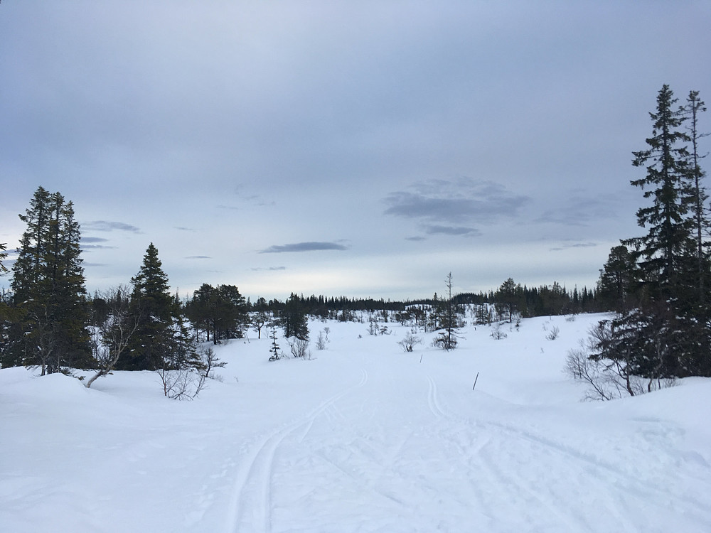 Mot Reidalsmyran.