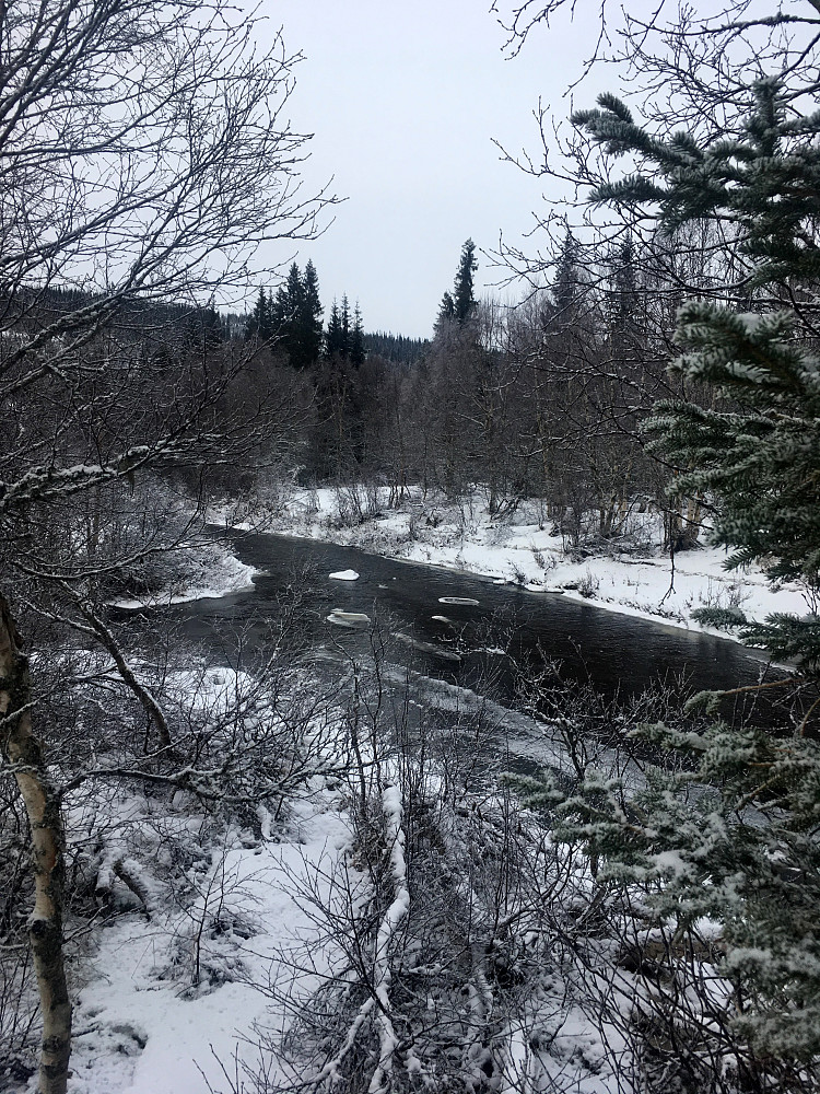 Ikke mye is på Innerelva.