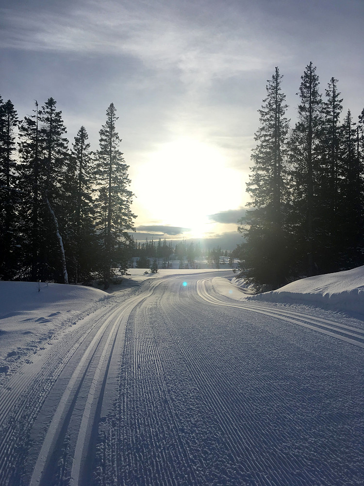 Fint i sporet i dag.