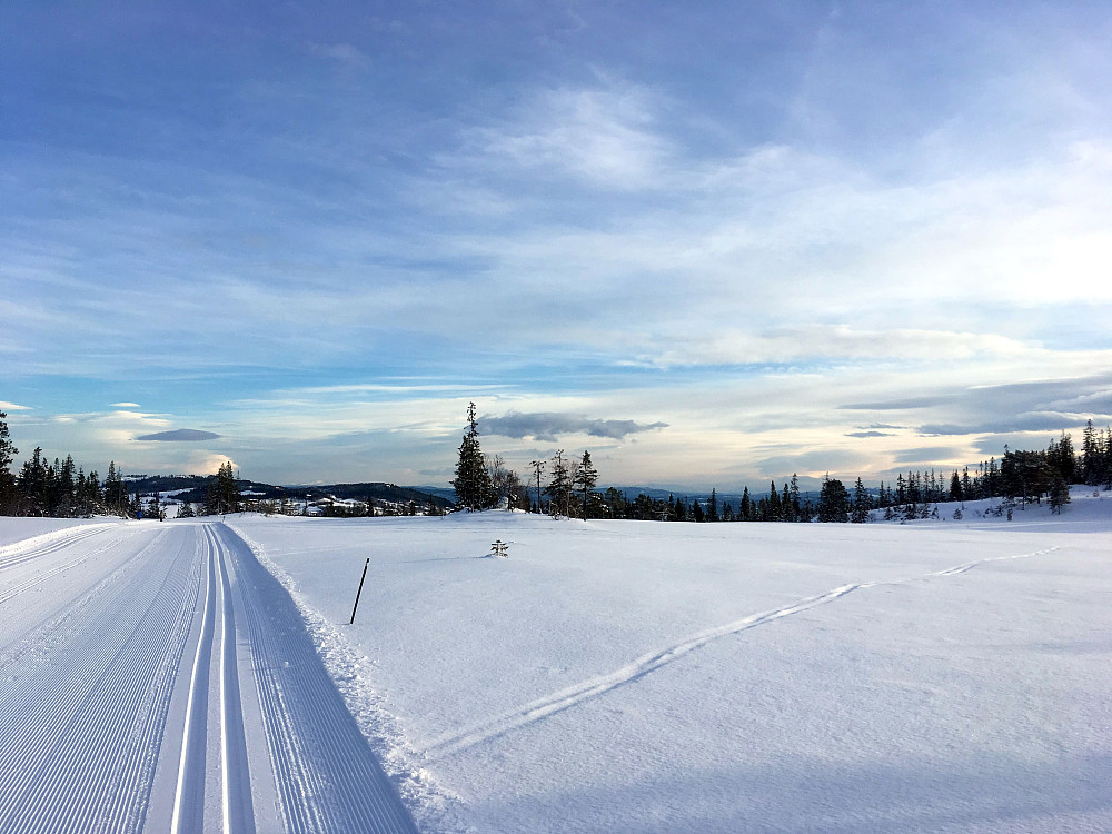 Reidalsmyran mot Leksvik.